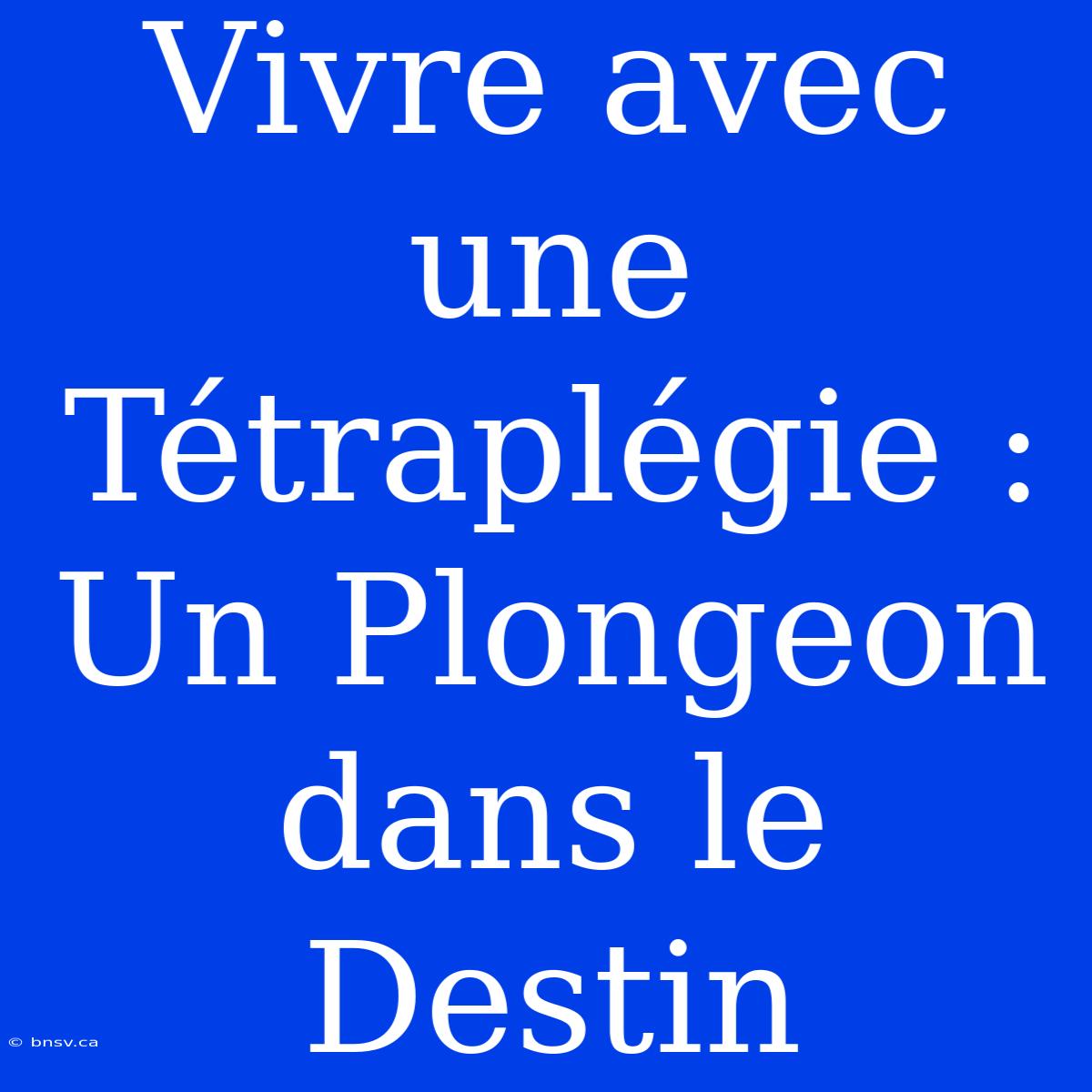 Vivre Avec Une Tétraplégie : Un Plongeon Dans Le Destin