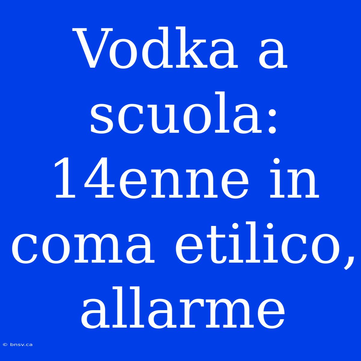 Vodka A Scuola: 14enne In Coma Etilico, Allarme