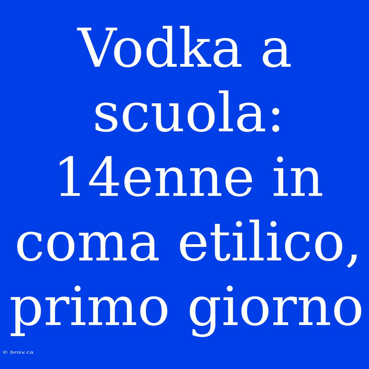 Vodka A Scuola: 14enne In Coma Etilico, Primo Giorno