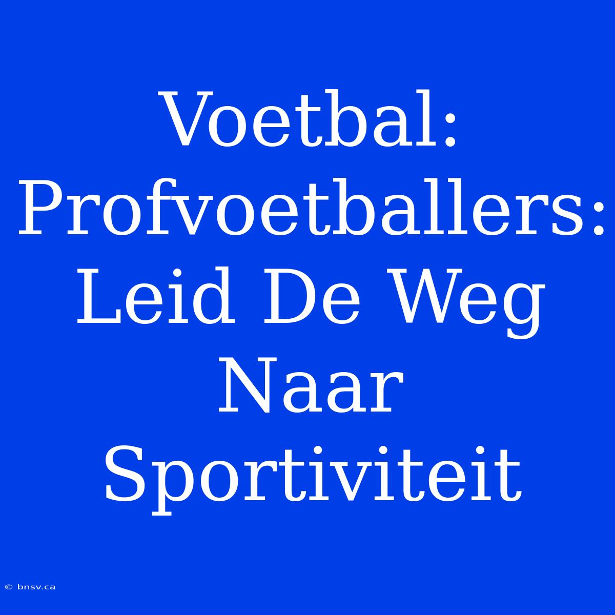 Voetbal: Profvoetballers: Leid De Weg Naar Sportiviteit