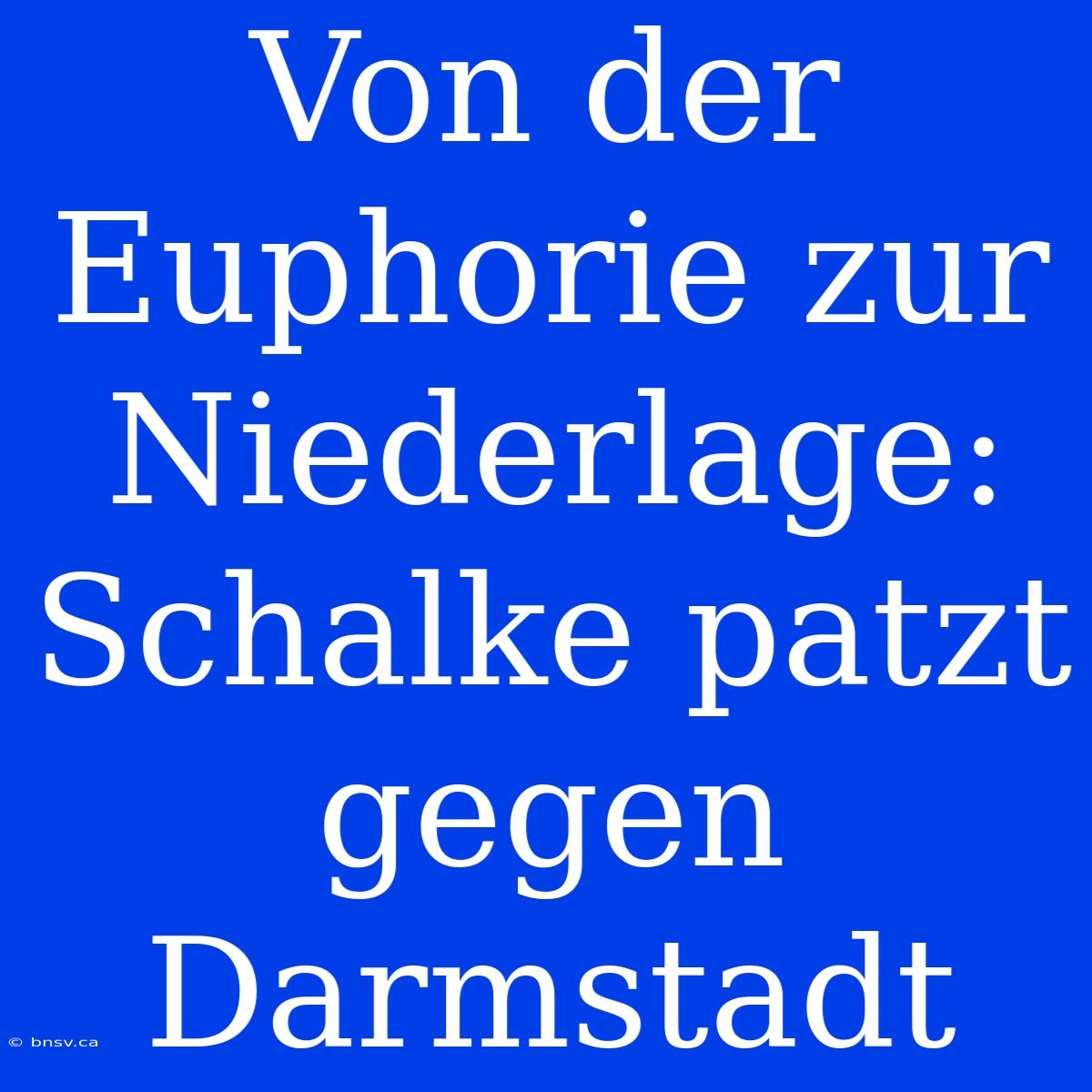 Von Der Euphorie Zur Niederlage: Schalke Patzt Gegen Darmstadt