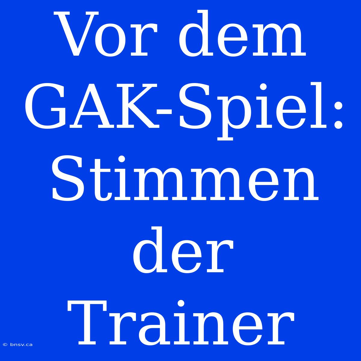 Vor Dem GAK-Spiel: Stimmen Der Trainer