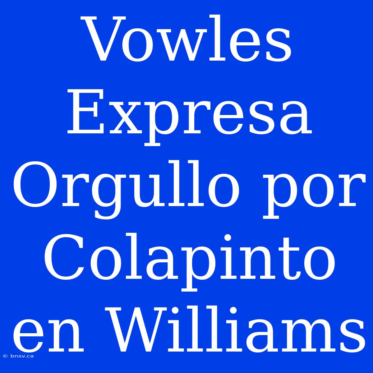 Vowles Expresa Orgullo Por Colapinto En Williams