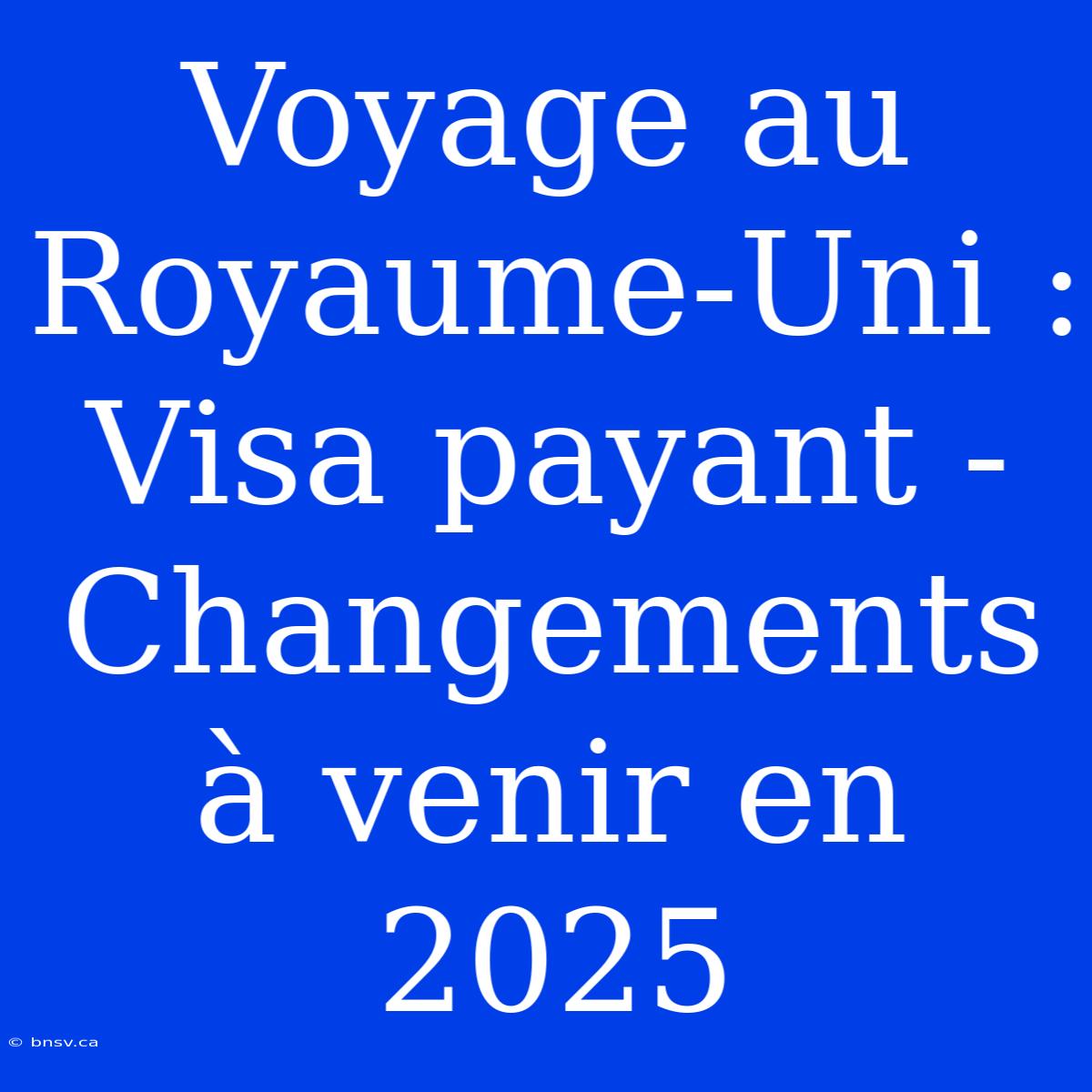 Voyage Au Royaume-Uni : Visa Payant - Changements À Venir En 2025