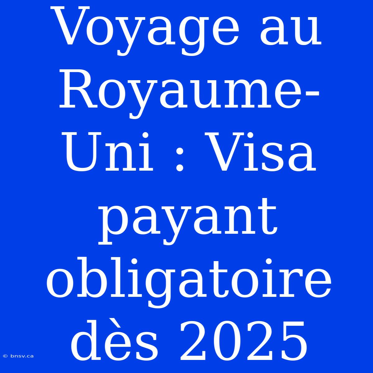 Voyage Au Royaume-Uni : Visa Payant Obligatoire Dès 2025