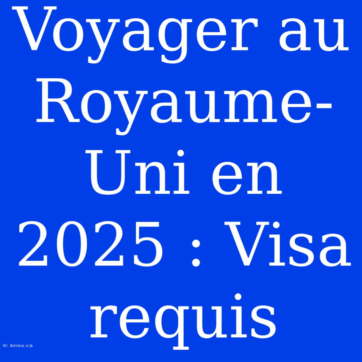 Voyager Au Royaume-Uni En 2025 : Visa Requis