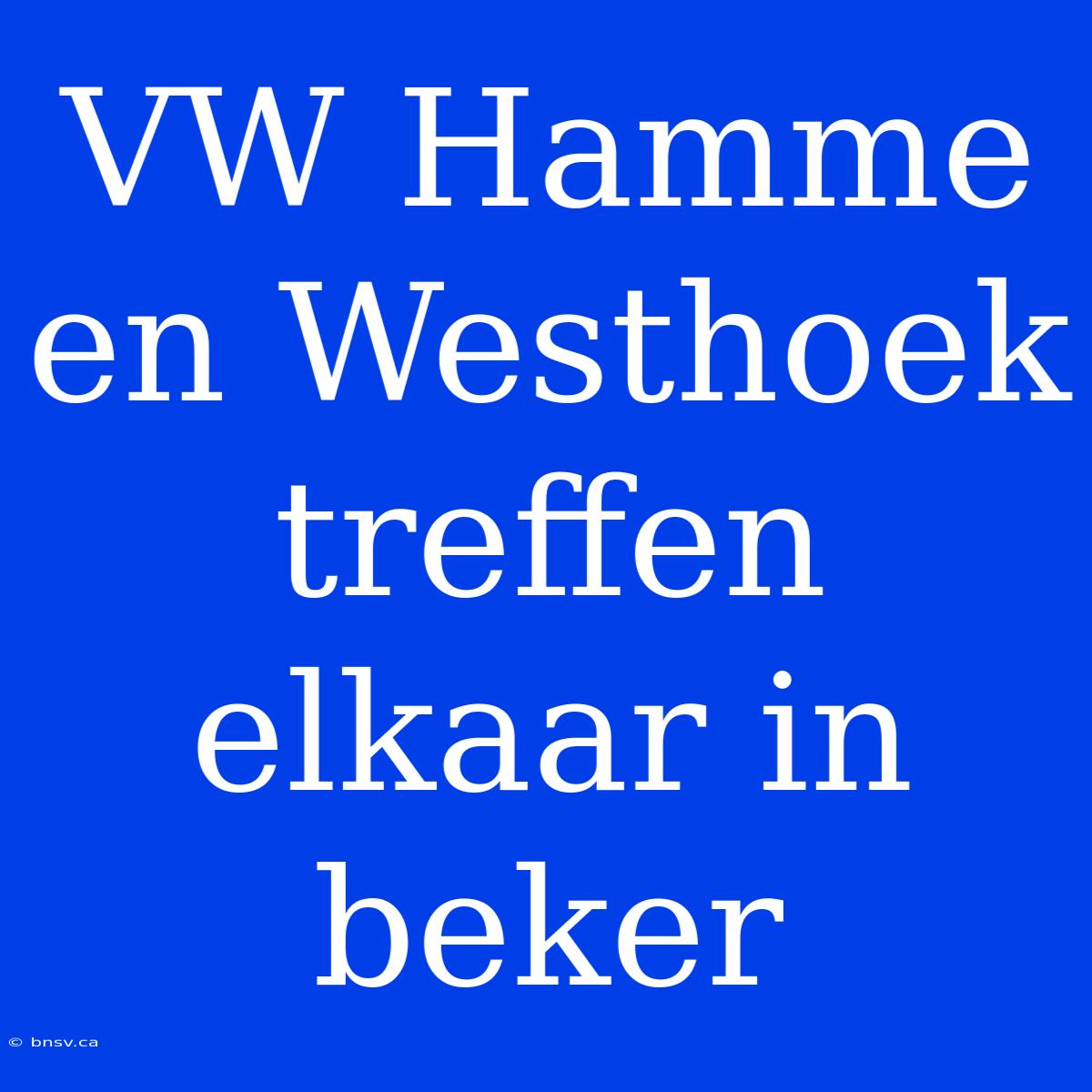 VW Hamme En Westhoek Treffen Elkaar In Beker