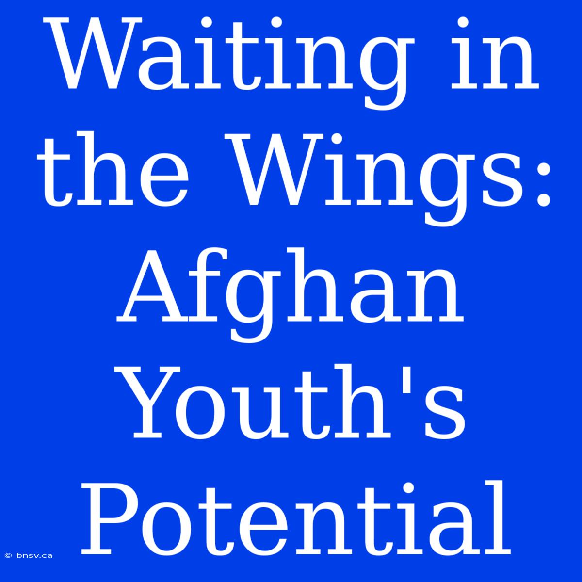 Waiting In The Wings: Afghan Youth's Potential