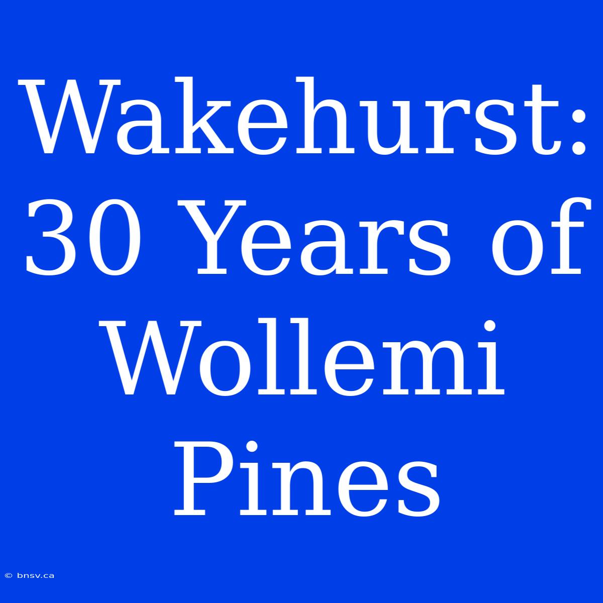 Wakehurst: 30 Years Of Wollemi Pines