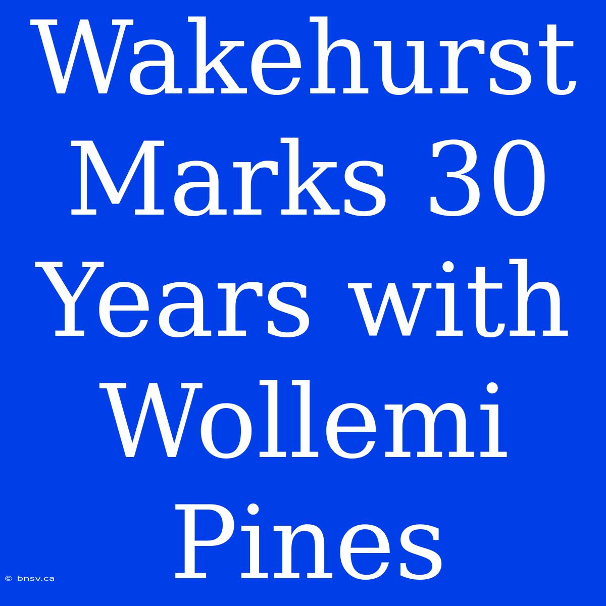 Wakehurst Marks 30 Years With Wollemi Pines