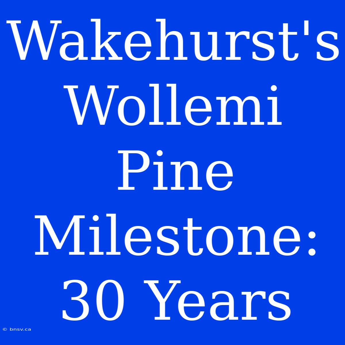 Wakehurst's Wollemi Pine Milestone: 30 Years