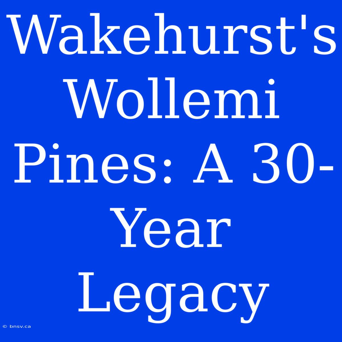 Wakehurst's Wollemi Pines: A 30-Year Legacy