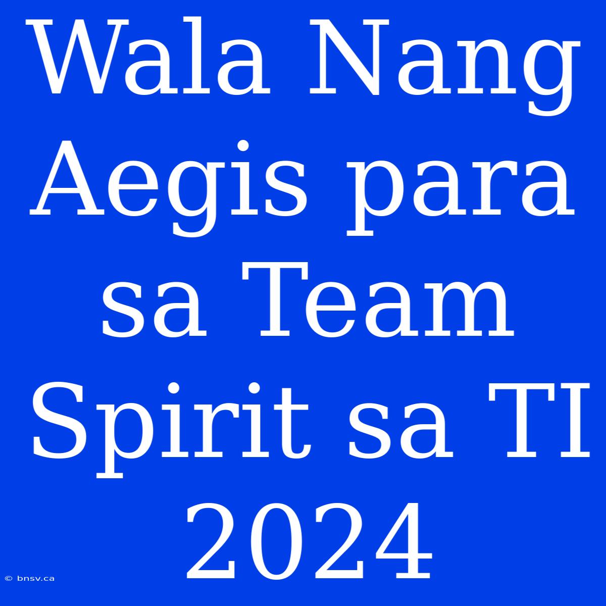 Wala Nang Aegis Para Sa Team Spirit Sa TI 2024