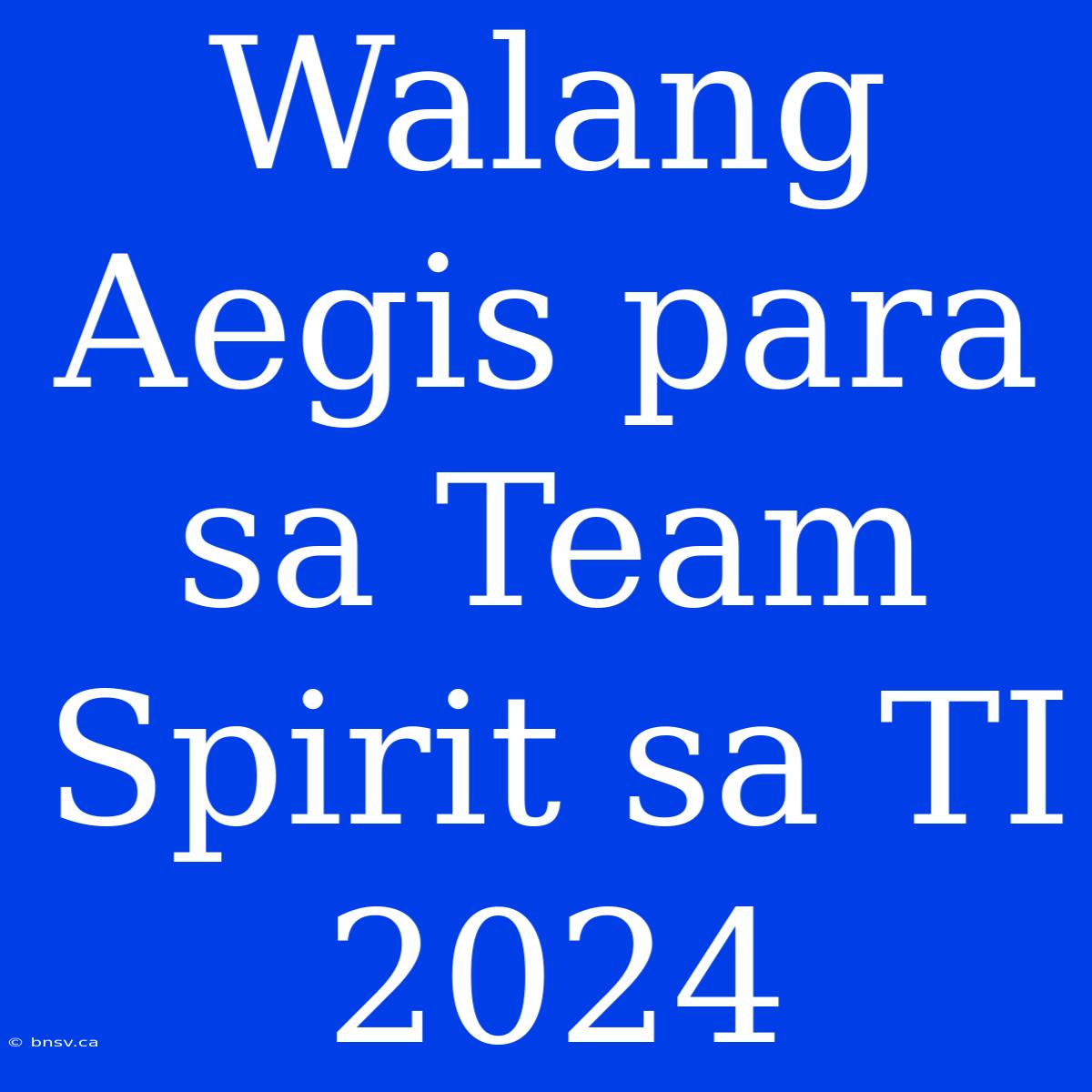 Walang Aegis Para Sa Team Spirit Sa TI 2024