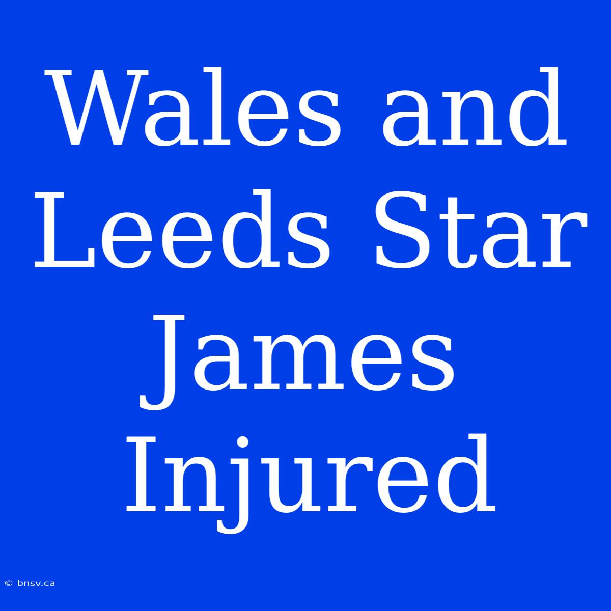 Wales And Leeds Star James Injured