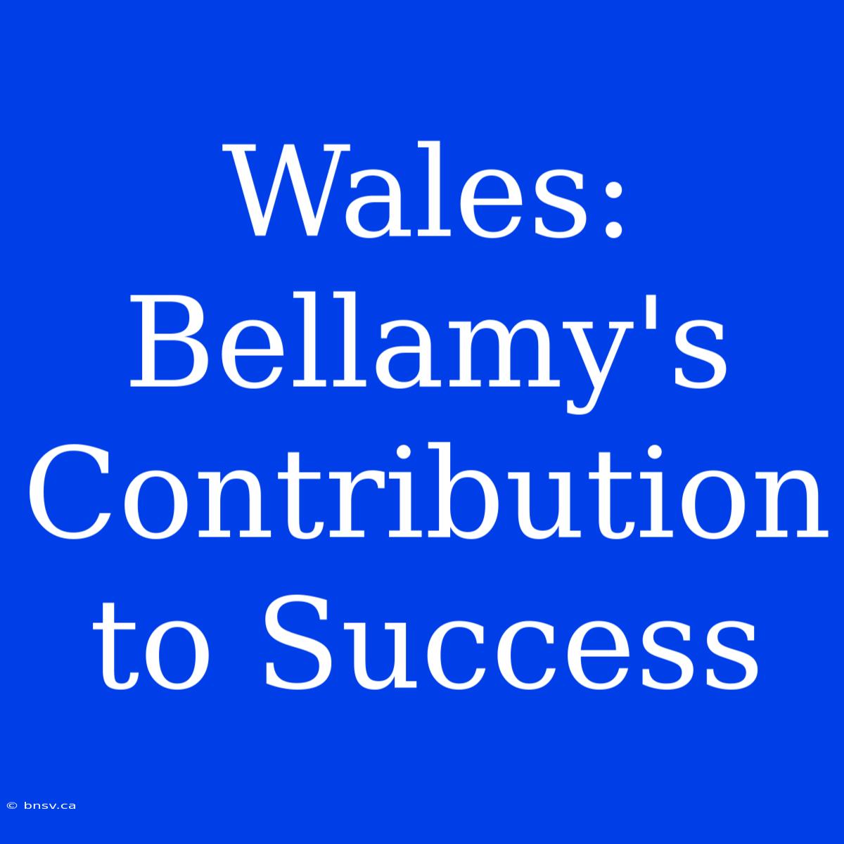 Wales: Bellamy's Contribution To Success