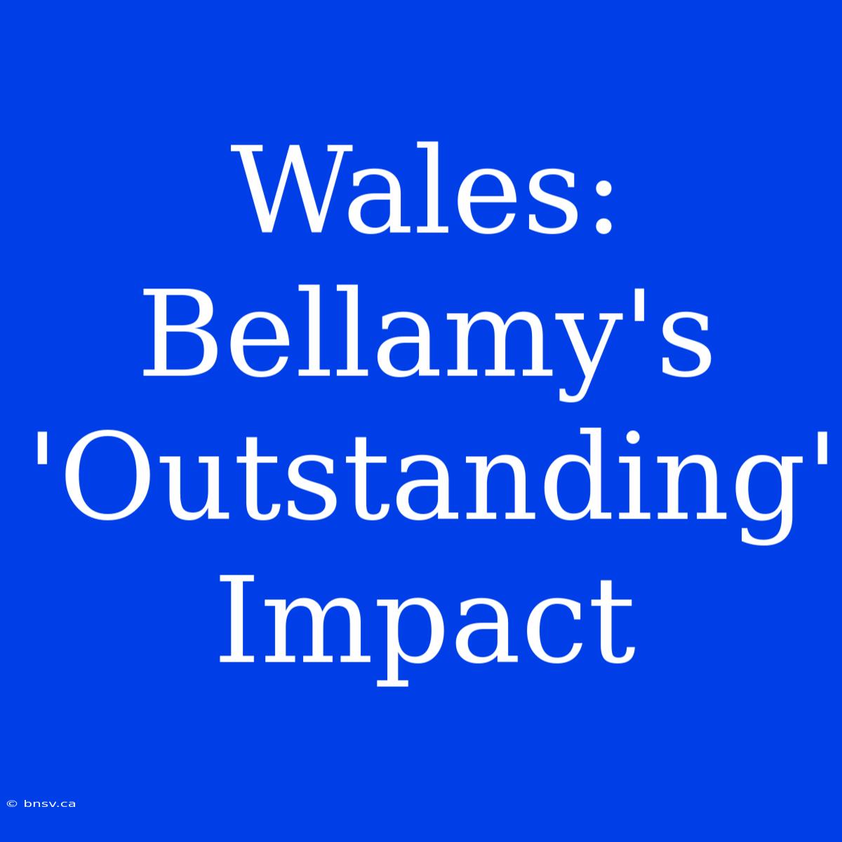 Wales: Bellamy's 'Outstanding' Impact