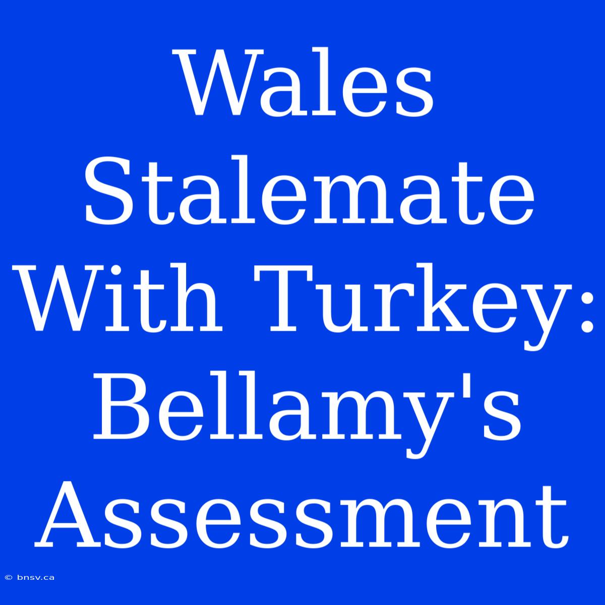 Wales Stalemate With Turkey: Bellamy's Assessment