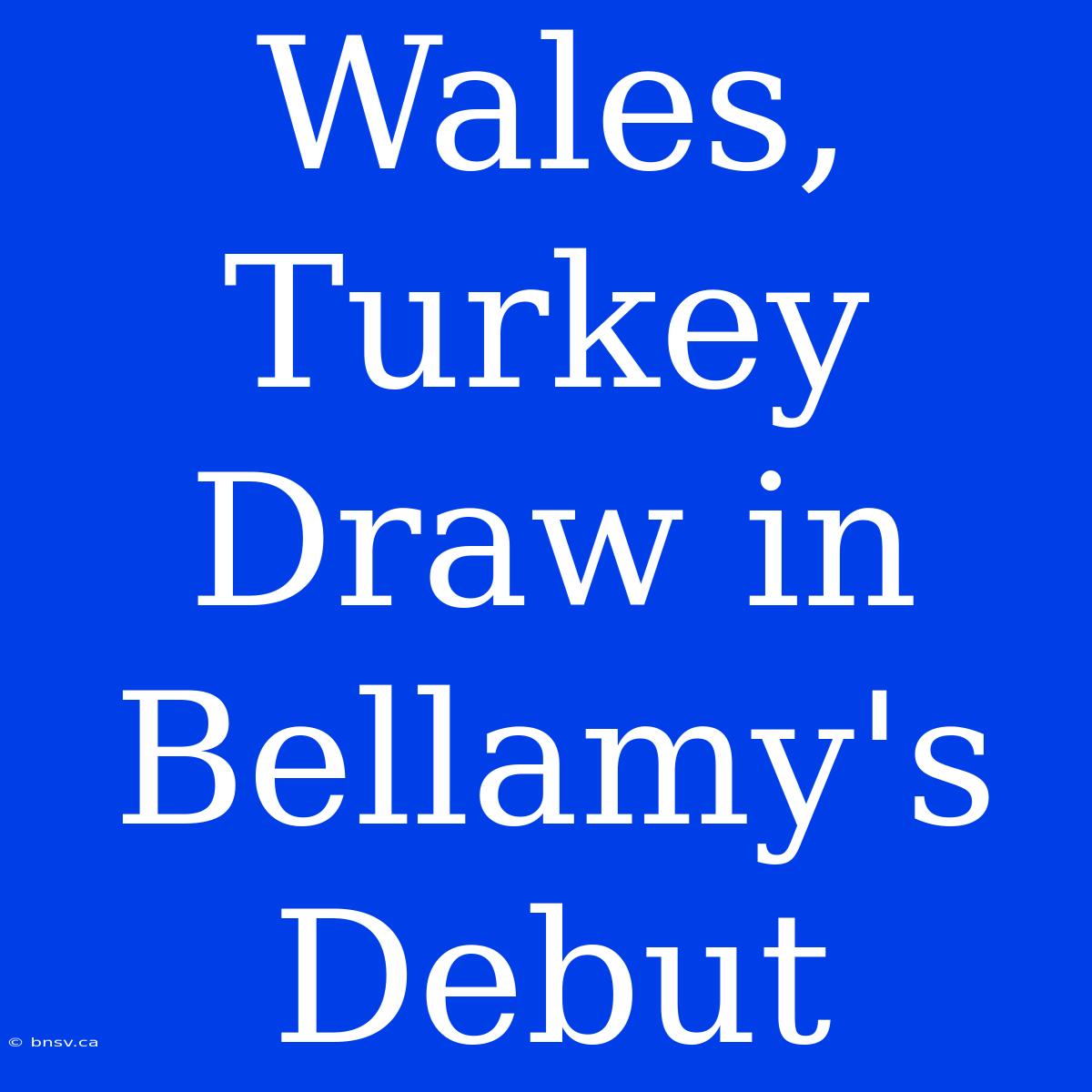 Wales, Turkey Draw In Bellamy's Debut