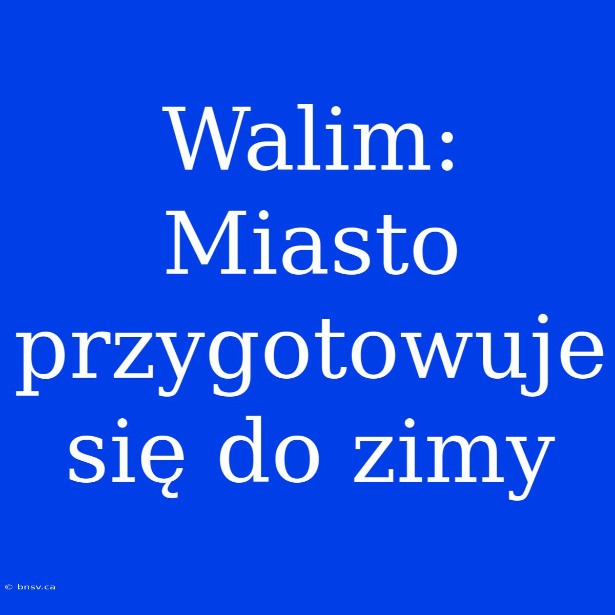 Walim: Miasto Przygotowuje Się Do Zimy