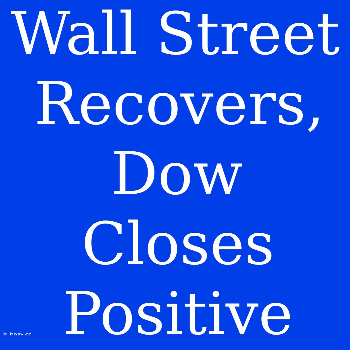 Wall Street Recovers, Dow Closes Positive