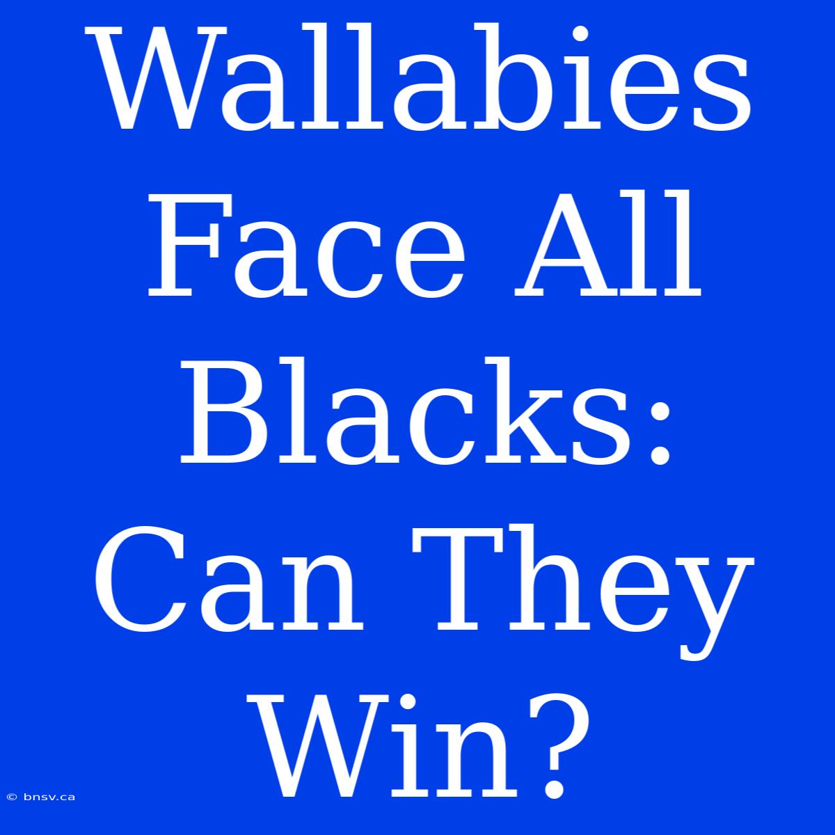 Wallabies Face All Blacks: Can They Win?