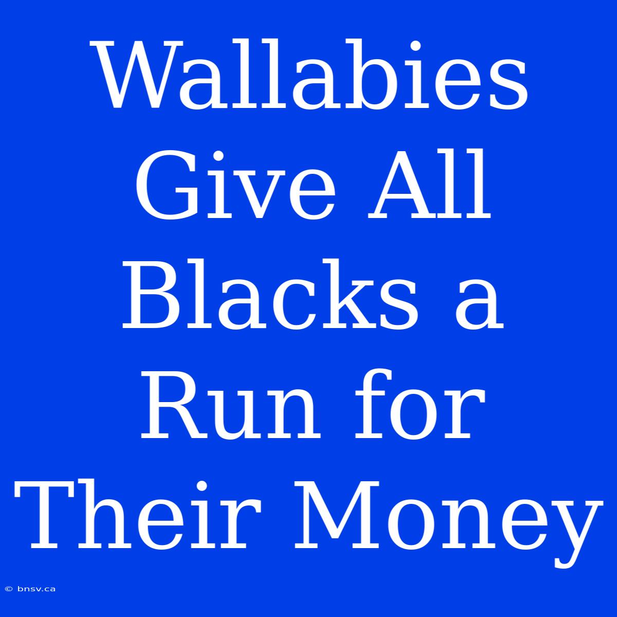 Wallabies Give All Blacks A Run For Their Money