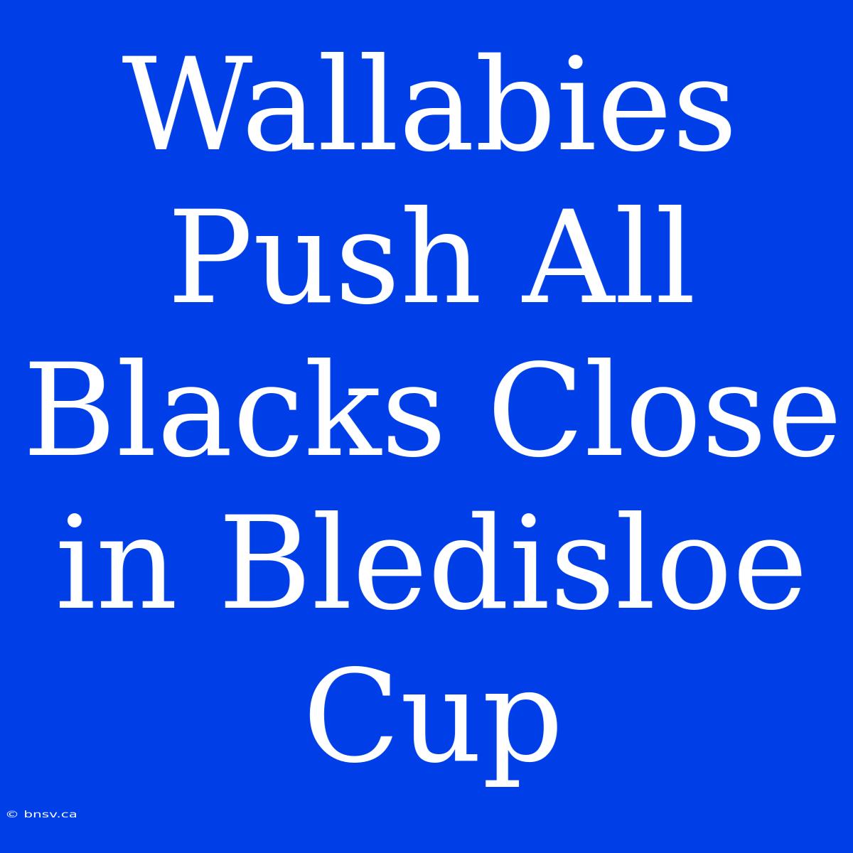 Wallabies Push All Blacks Close In Bledisloe Cup