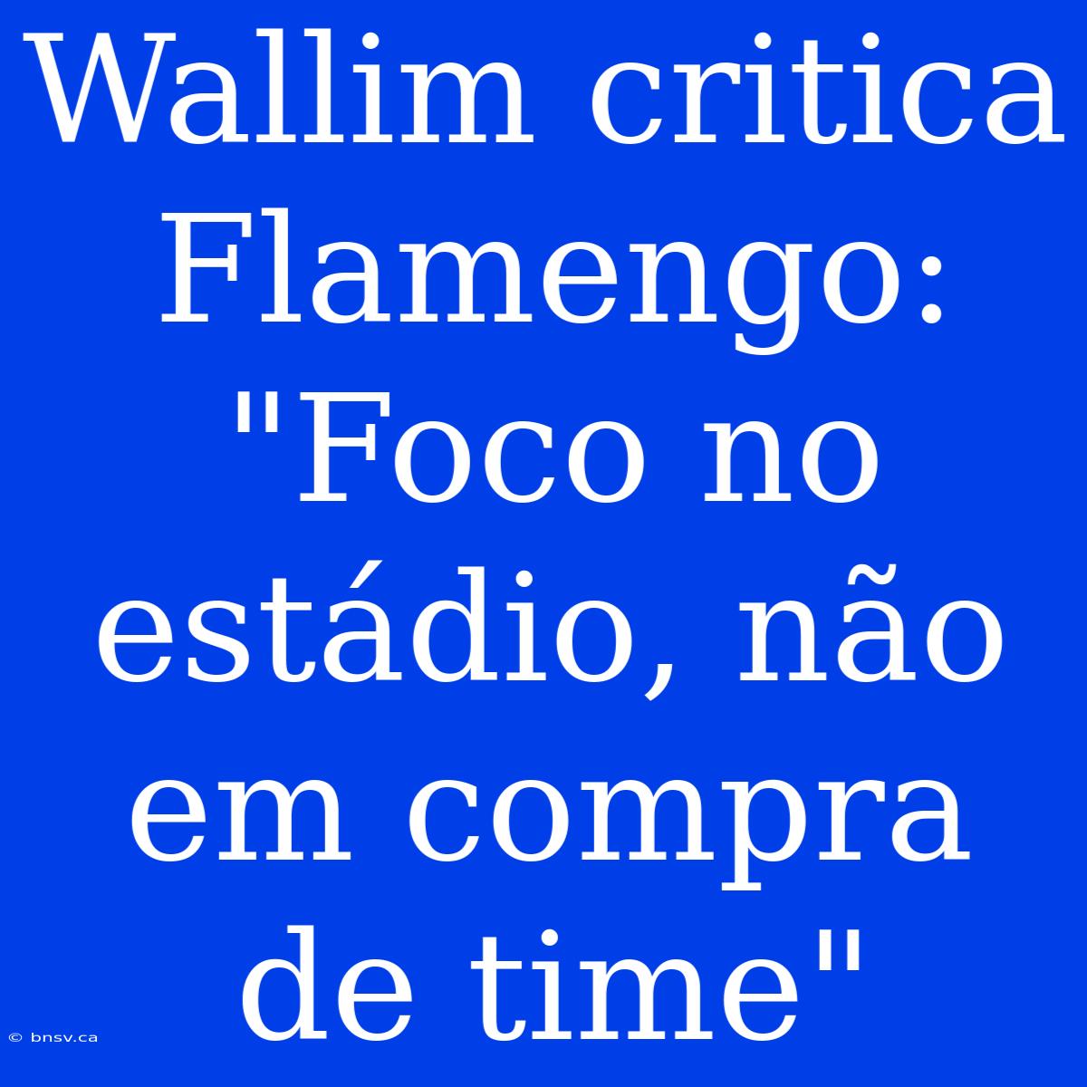 Wallim Critica Flamengo: 