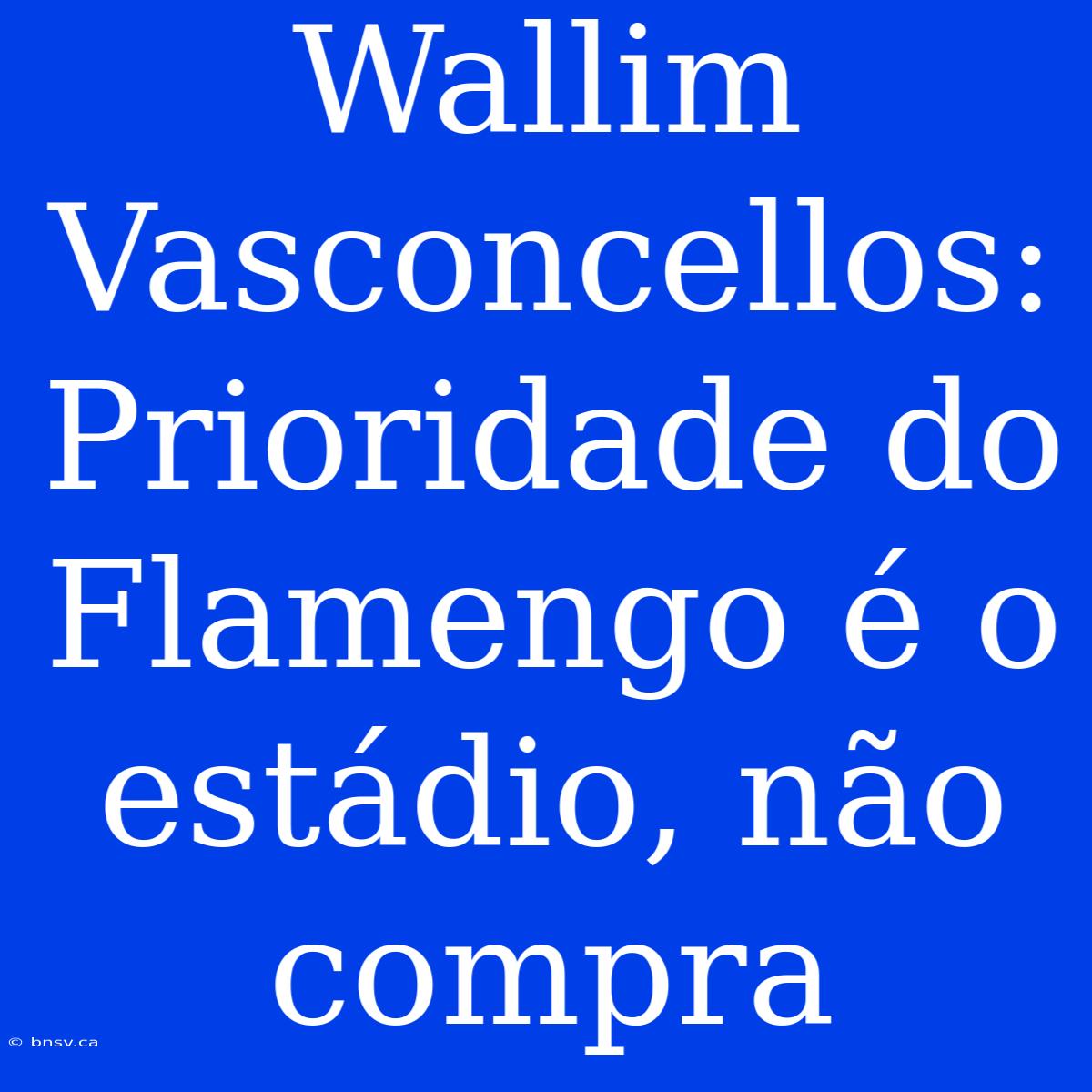 Wallim Vasconcellos: Prioridade Do Flamengo É O Estádio, Não Compra