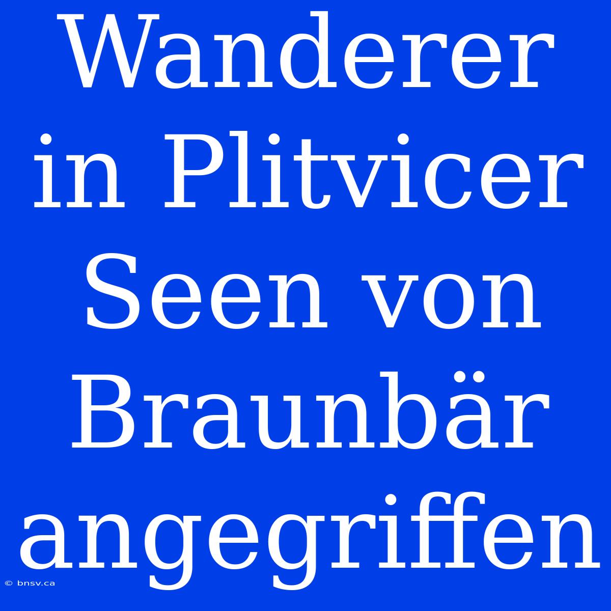 Wanderer In Plitvicer Seen Von Braunbär Angegriffen