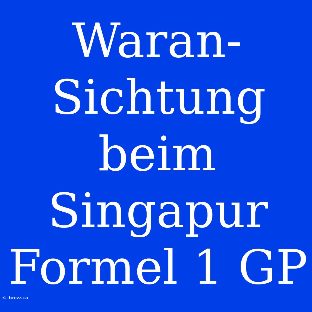 Waran-Sichtung Beim Singapur Formel 1 GP