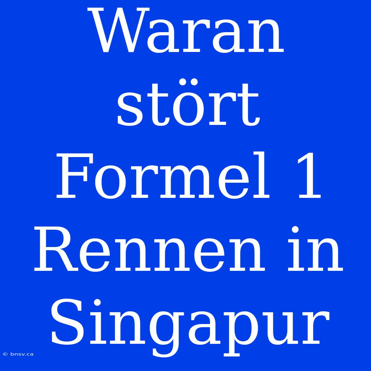 Waran Stört Formel 1 Rennen In Singapur