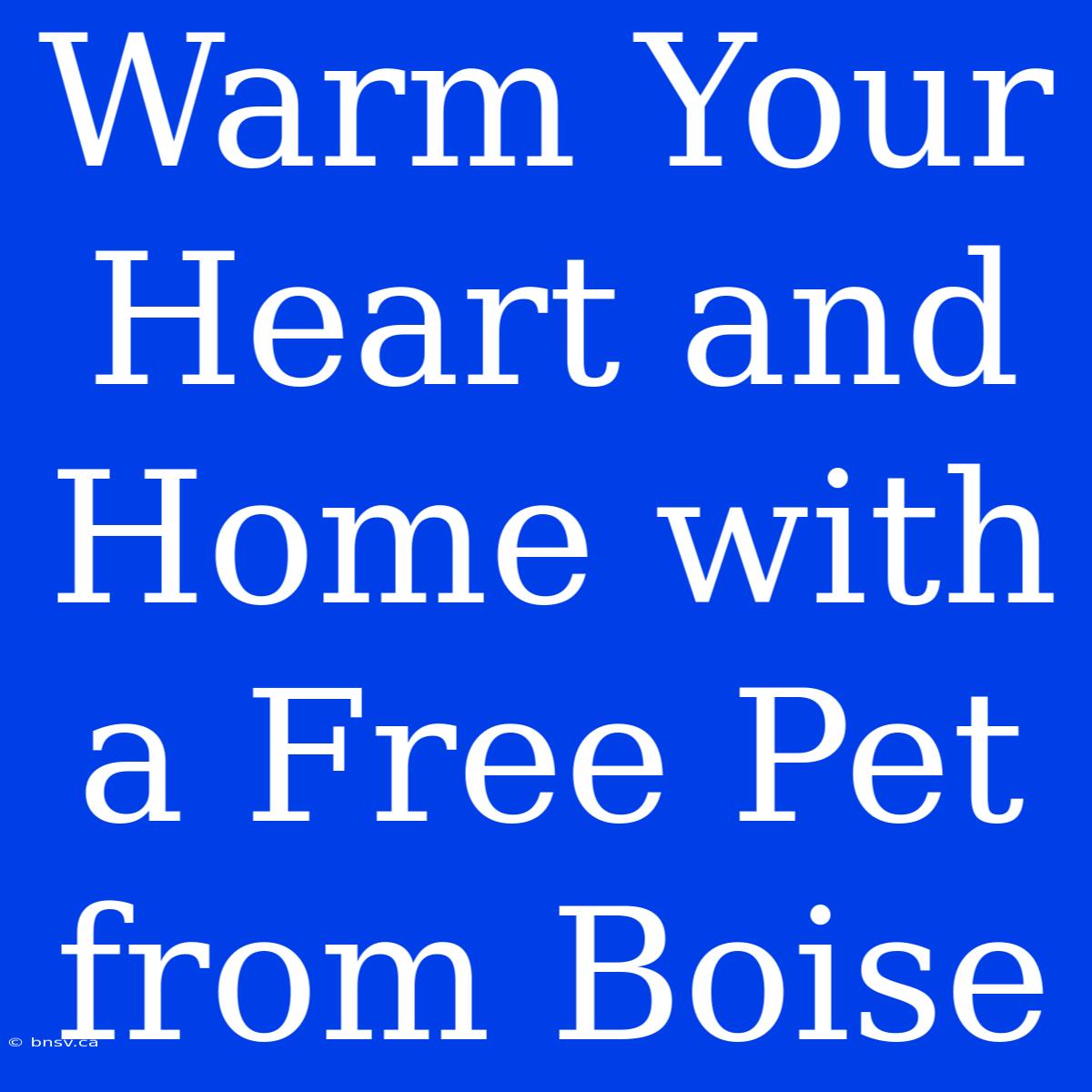 Warm Your Heart And Home With A Free Pet From Boise