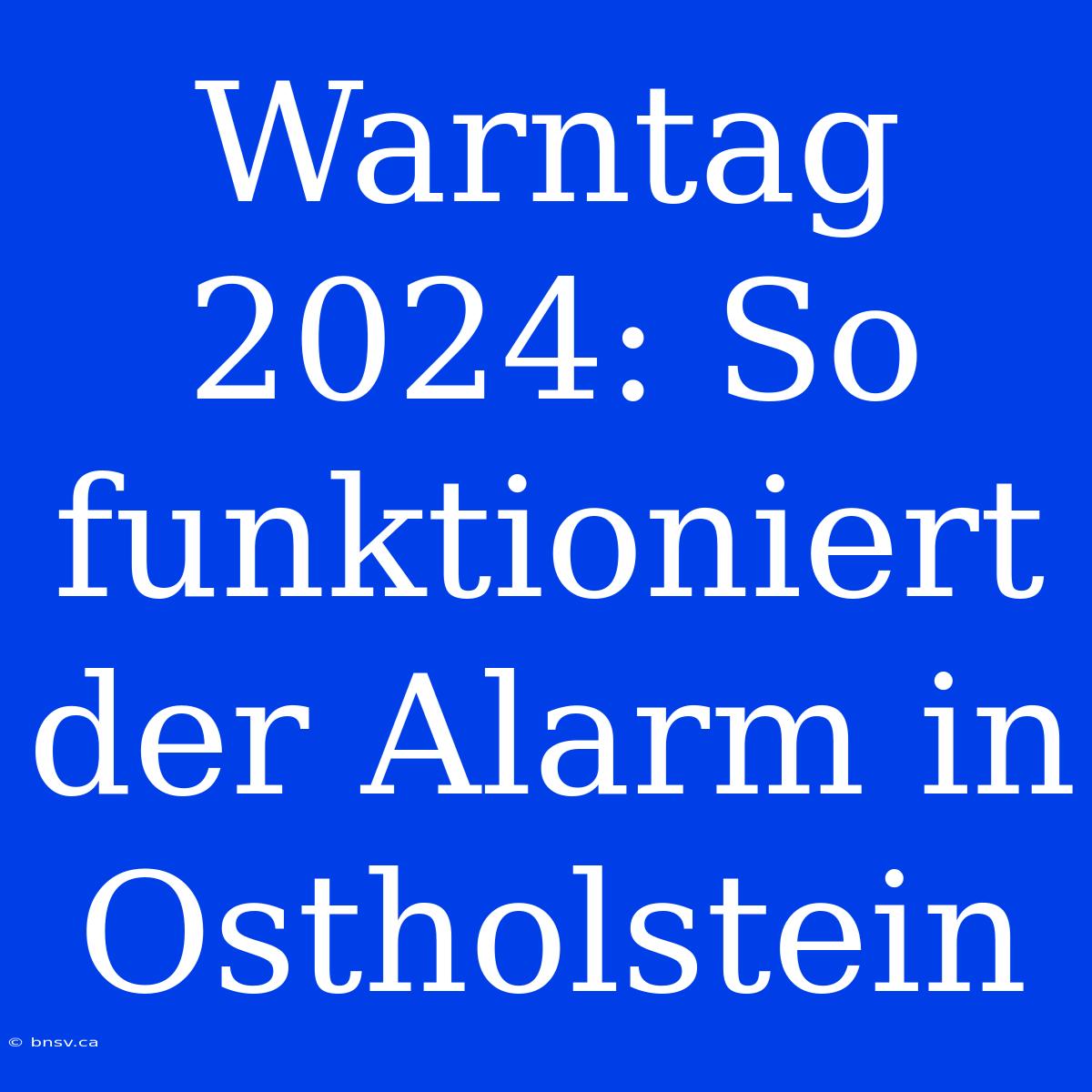 Warntag 2024: So Funktioniert Der Alarm In Ostholstein