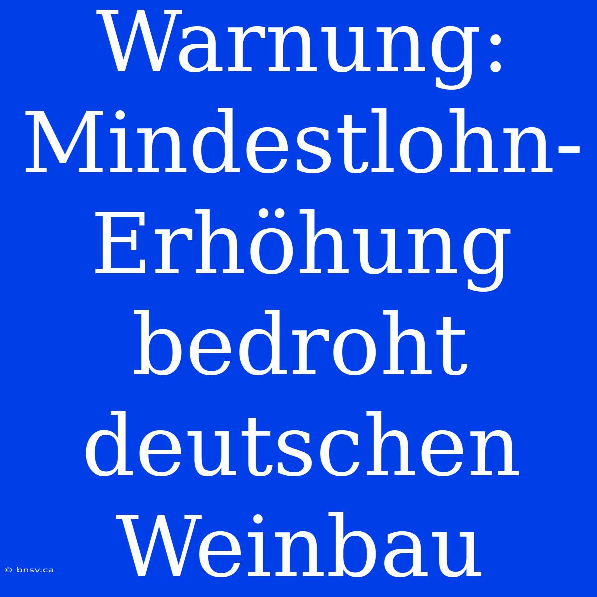 Warnung: Mindestlohn-Erhöhung Bedroht Deutschen Weinbau