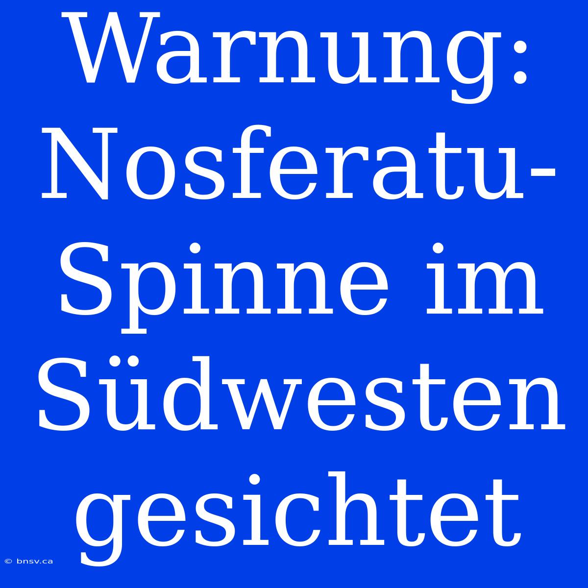 Warnung: Nosferatu-Spinne Im Südwesten Gesichtet