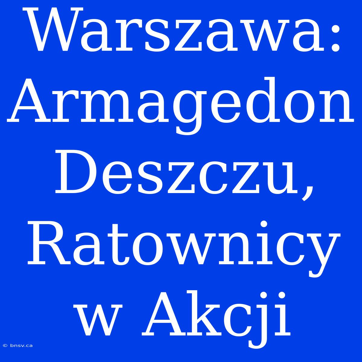 Warszawa: Armagedon Deszczu, Ratownicy W Akcji