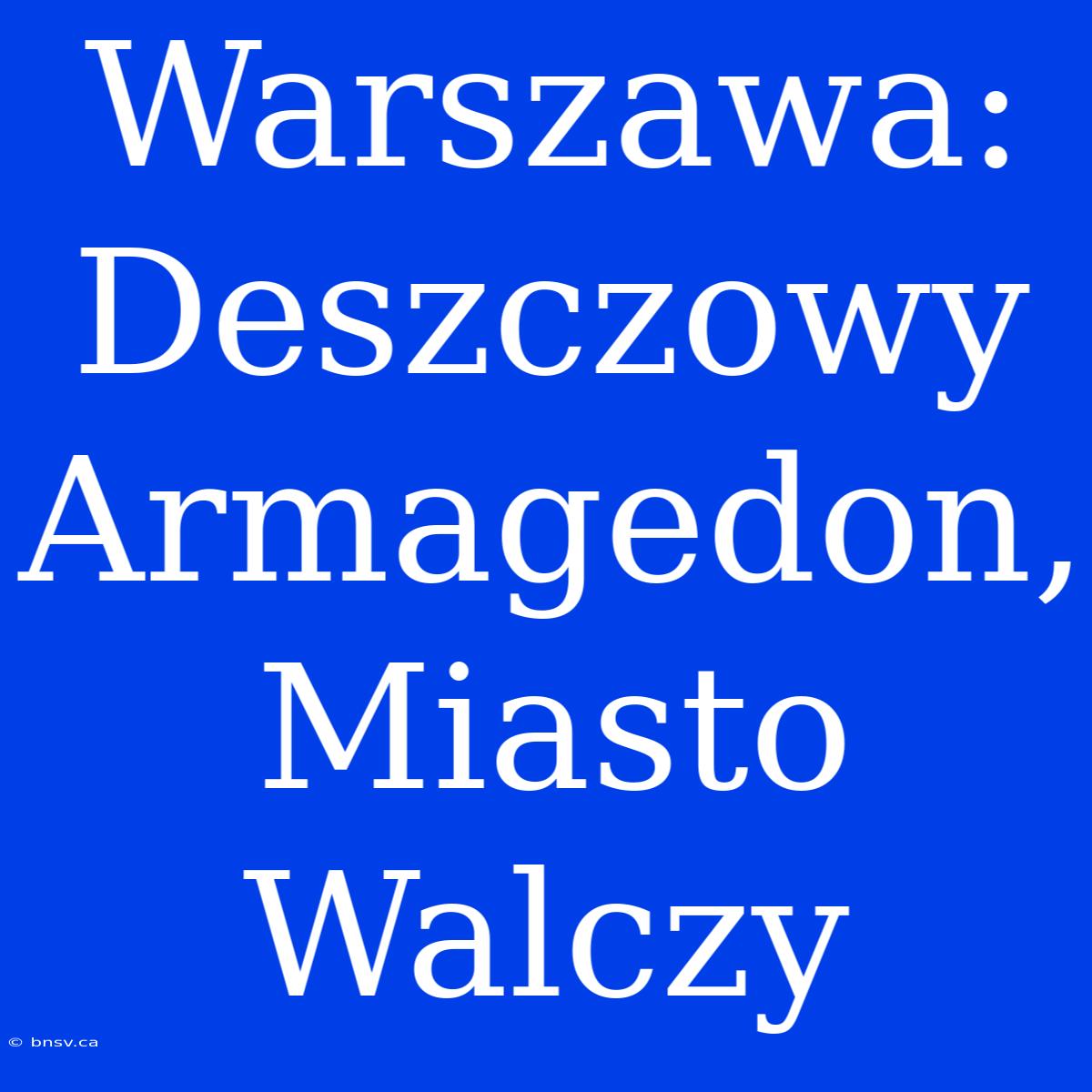 Warszawa: Deszczowy Armagedon, Miasto Walczy