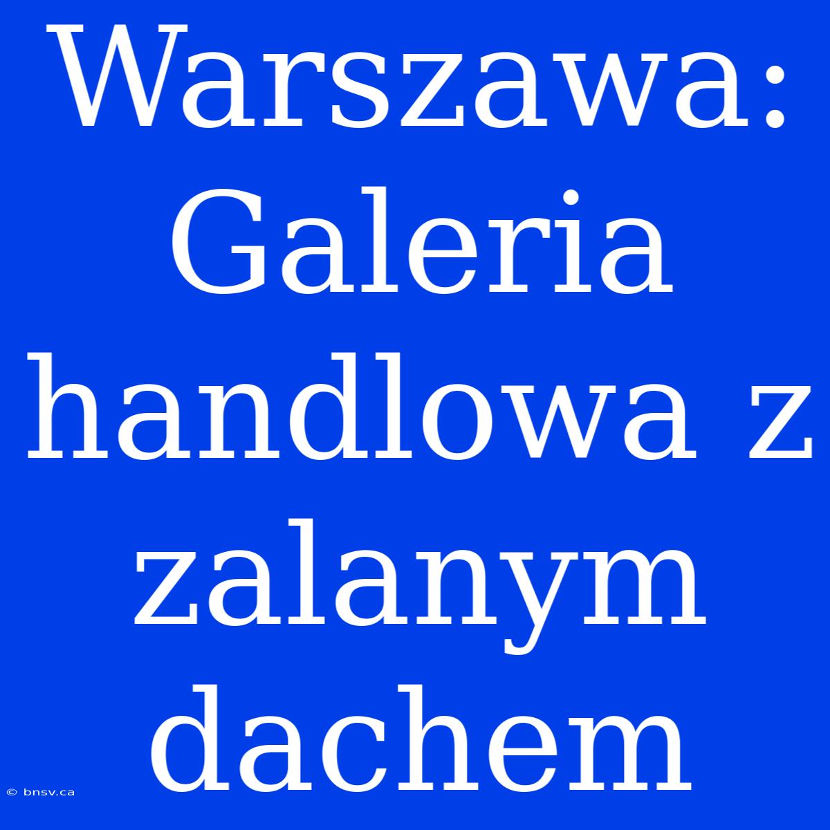 Warszawa: Galeria Handlowa Z Zalanym Dachem