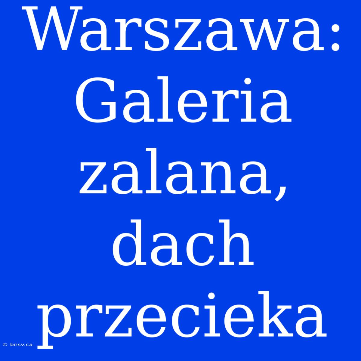 Warszawa: Galeria Zalana, Dach Przecieka