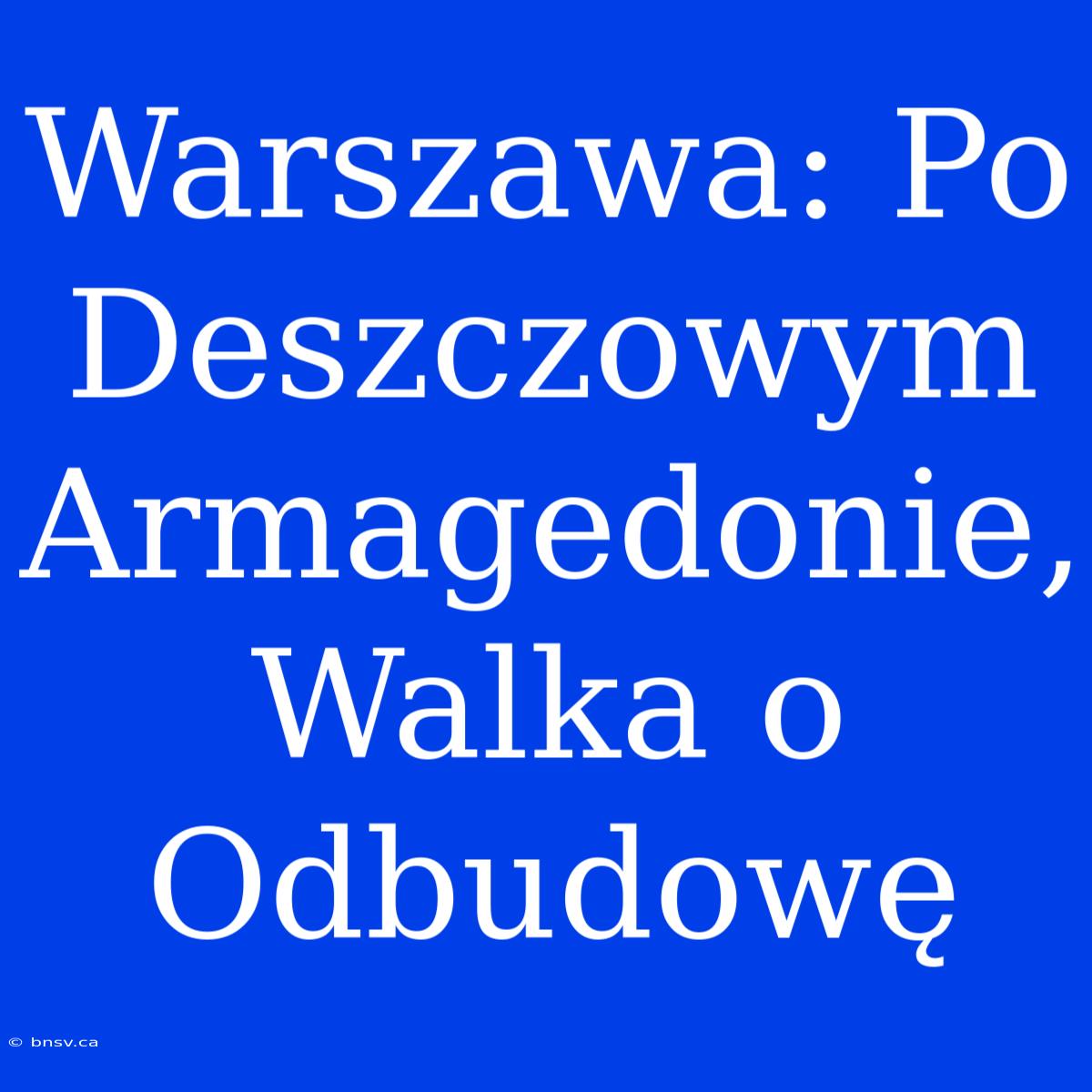 Warszawa: Po Deszczowym Armagedonie, Walka O Odbudowę