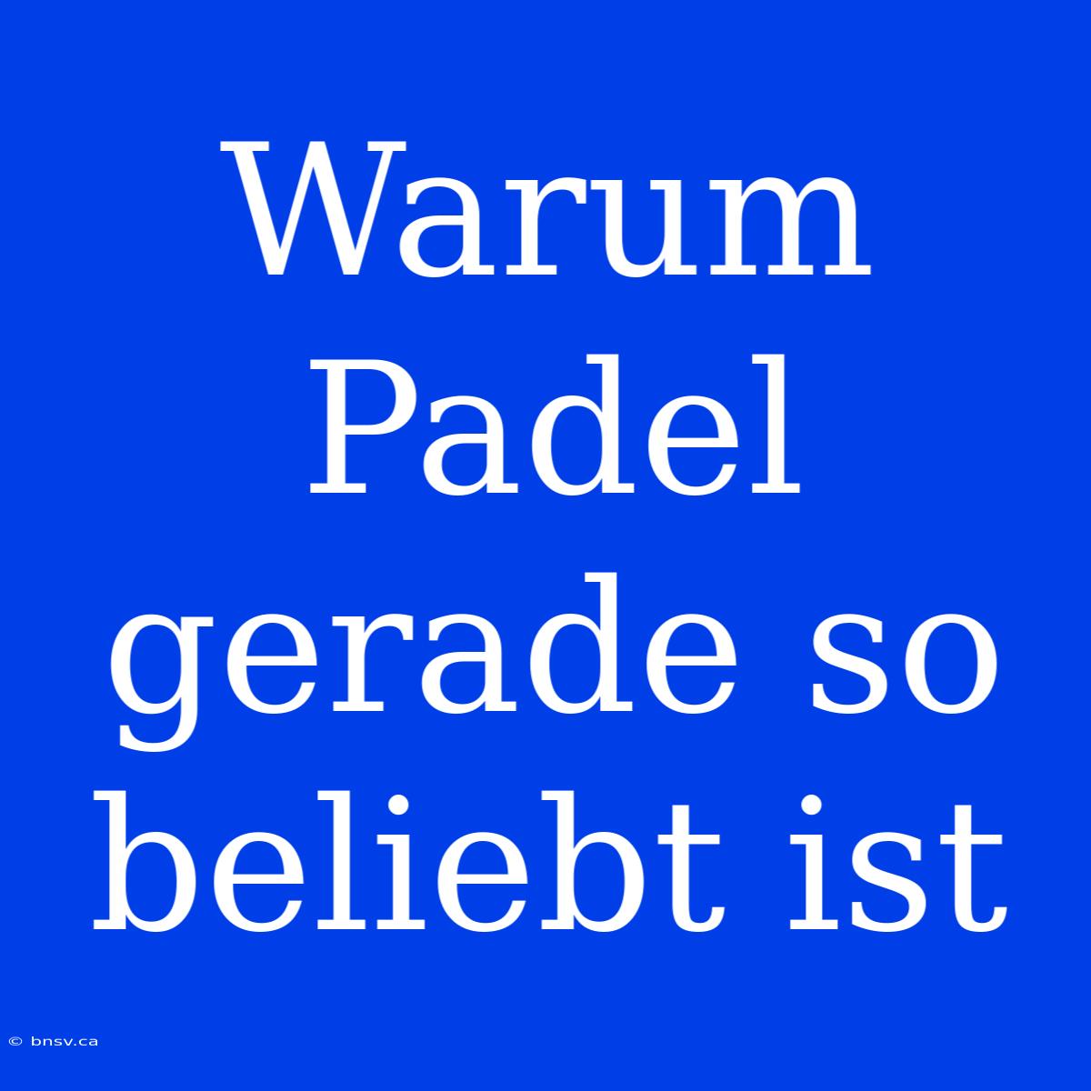 Warum Padel Gerade So Beliebt Ist