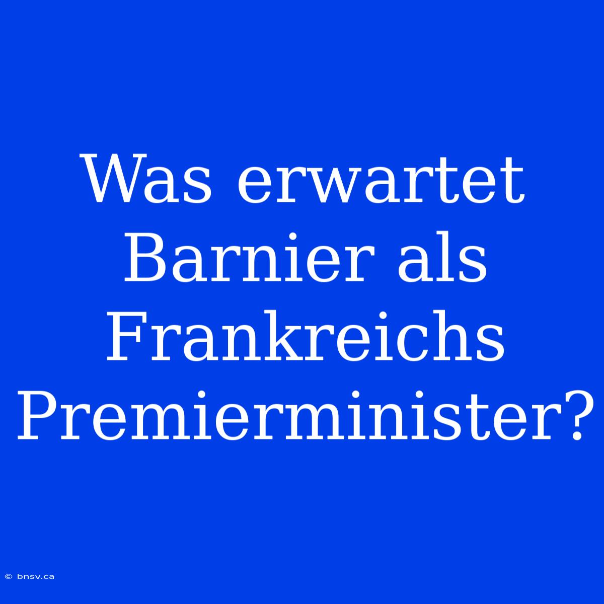 Was Erwartet Barnier Als Frankreichs Premierminister?