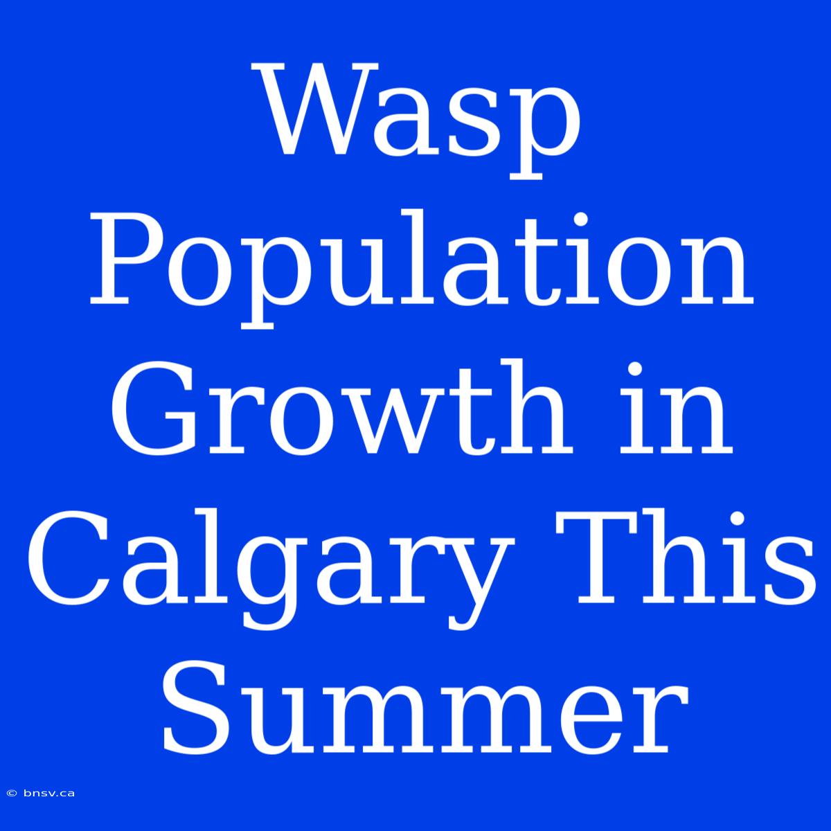 Wasp Population Growth In Calgary This Summer