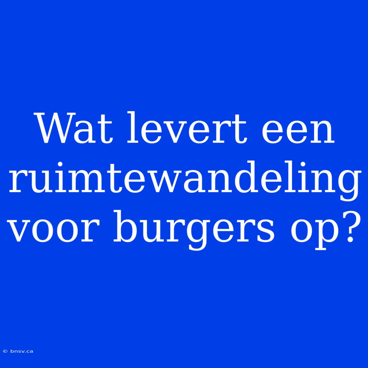 Wat Levert Een Ruimtewandeling Voor Burgers Op?