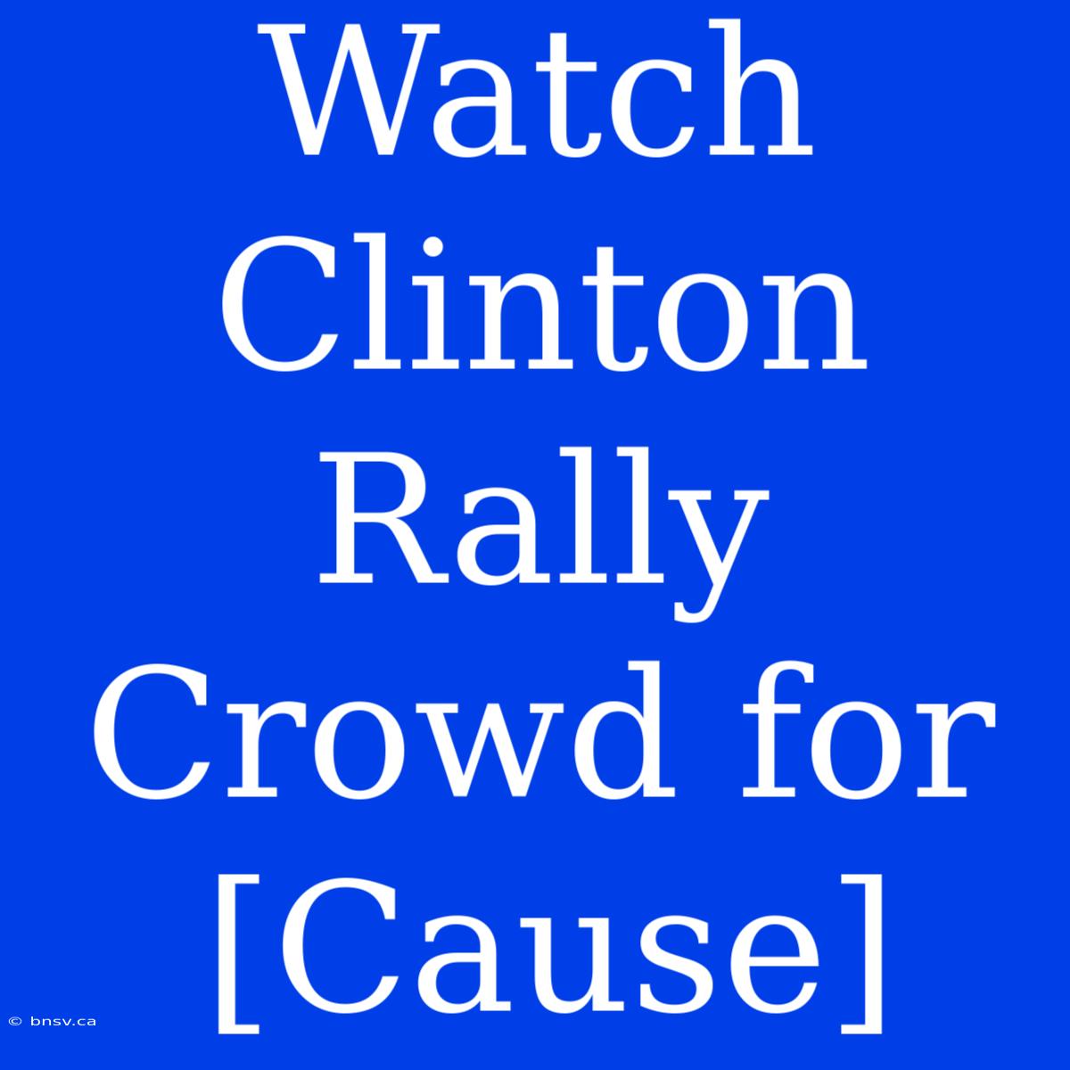 Watch Clinton Rally Crowd For [Cause]