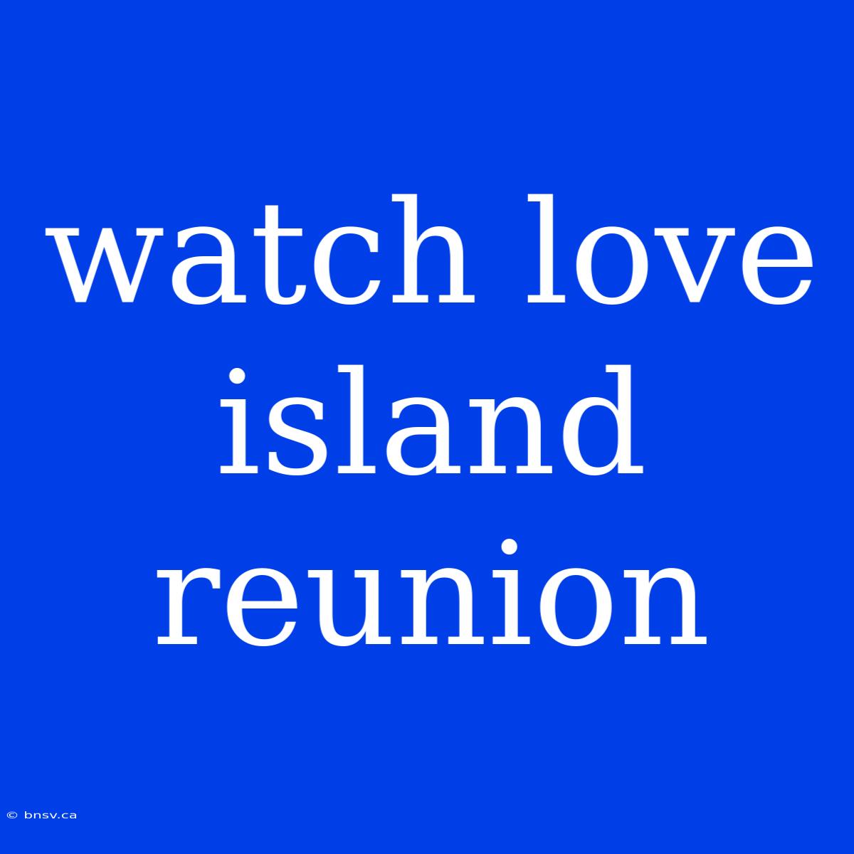 Watch Love Island Reunion