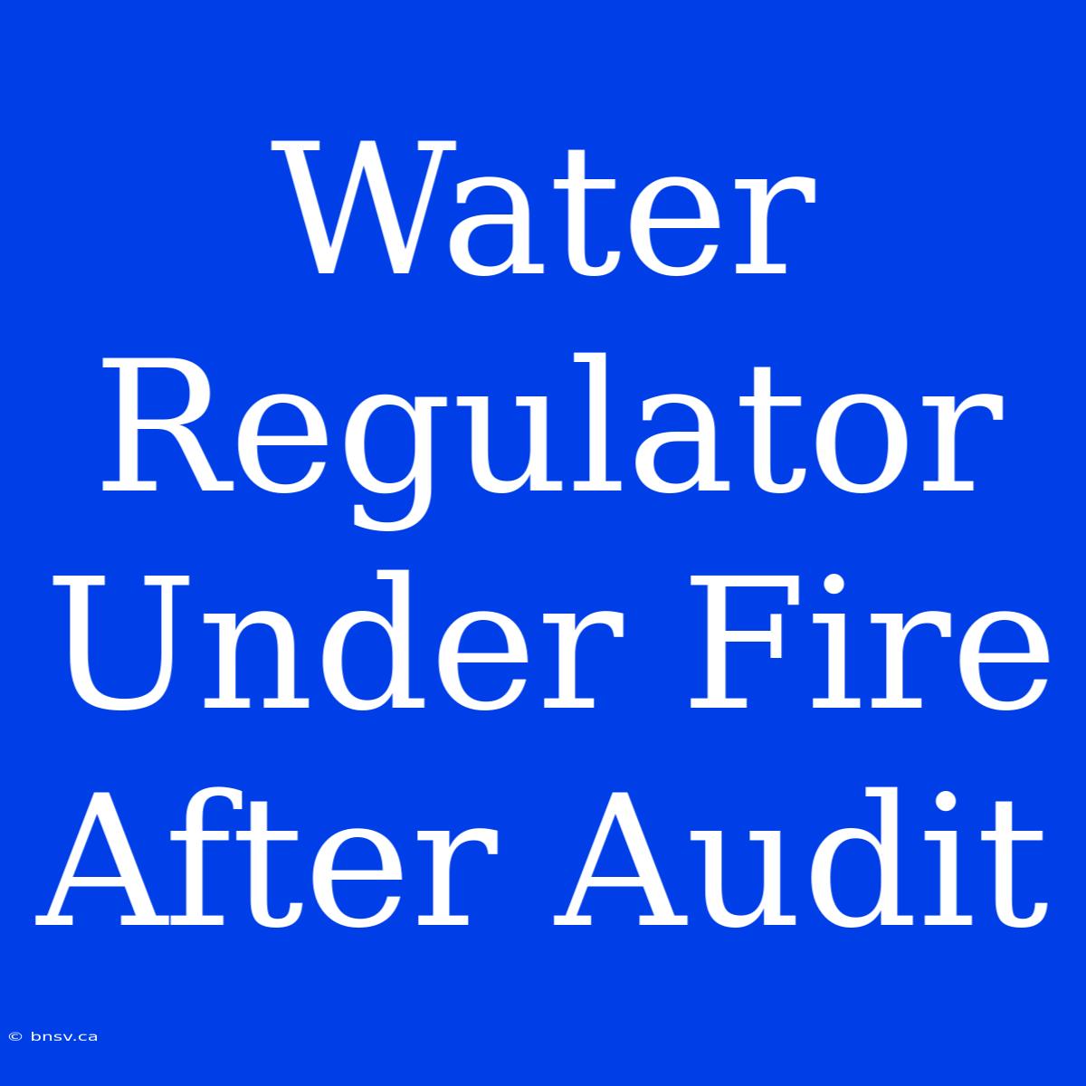 Water Regulator Under Fire After Audit