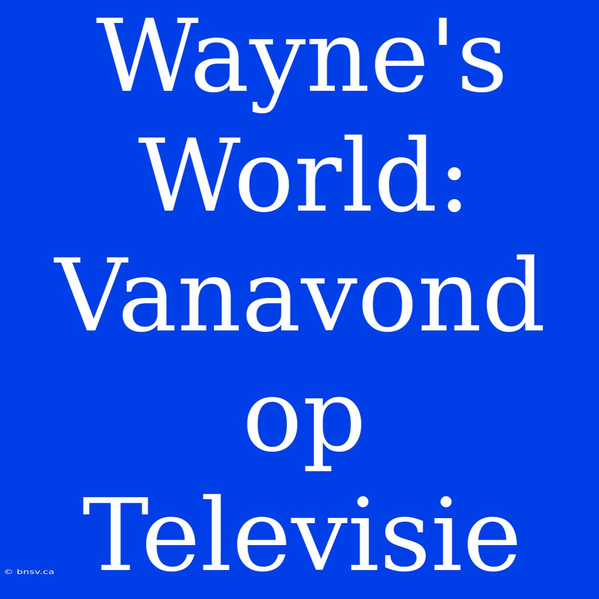 Wayne's World: Vanavond Op Televisie